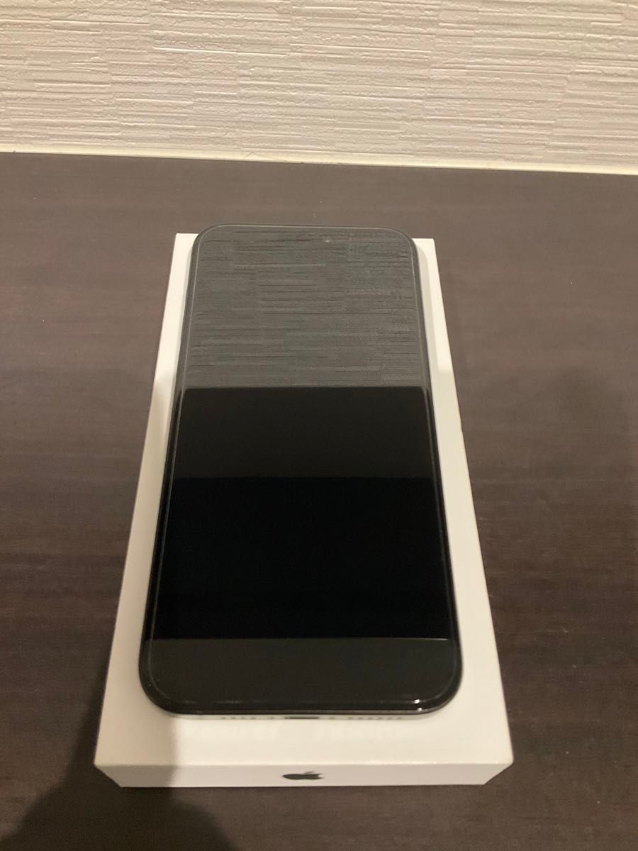 iPhone 15 Pro Max 256GB ブラックチタニウム バッテリー100 iPhone 15 Pro Max 256GB ブラックチタニウム バッテリー100