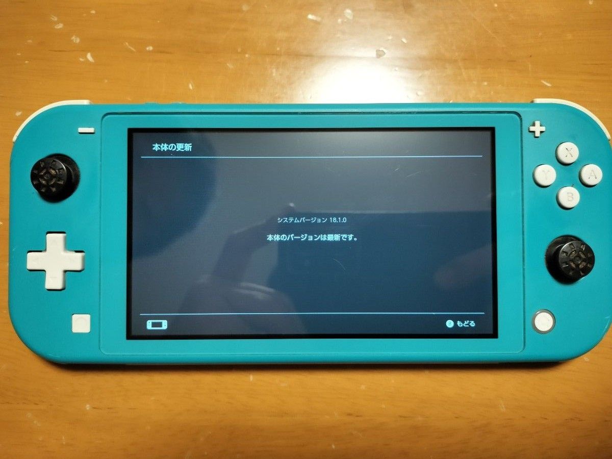 40 動作未確認 Nintendo Switch lite ニンテンドー スイッチ 40 動作未確認 Nintendo Switch lite ニンテンドー スイッチ