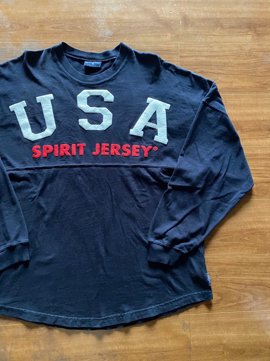【水色 アーチロゴ】即完売 SPIRIT,JERSEY ロンT 入手困難 APC 【水色 アーチロゴ】即完売 SPIRIT,JERSEY ロンT 入手困難 APC