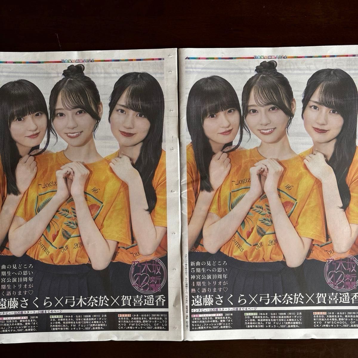 乃木坂46 応募ハガキ　2枚セット　チェキ応募券　特典 乃木坂46 応募ハガキ 2枚セット チェキ応募券 特典 EX大衆 乃木坂46(6