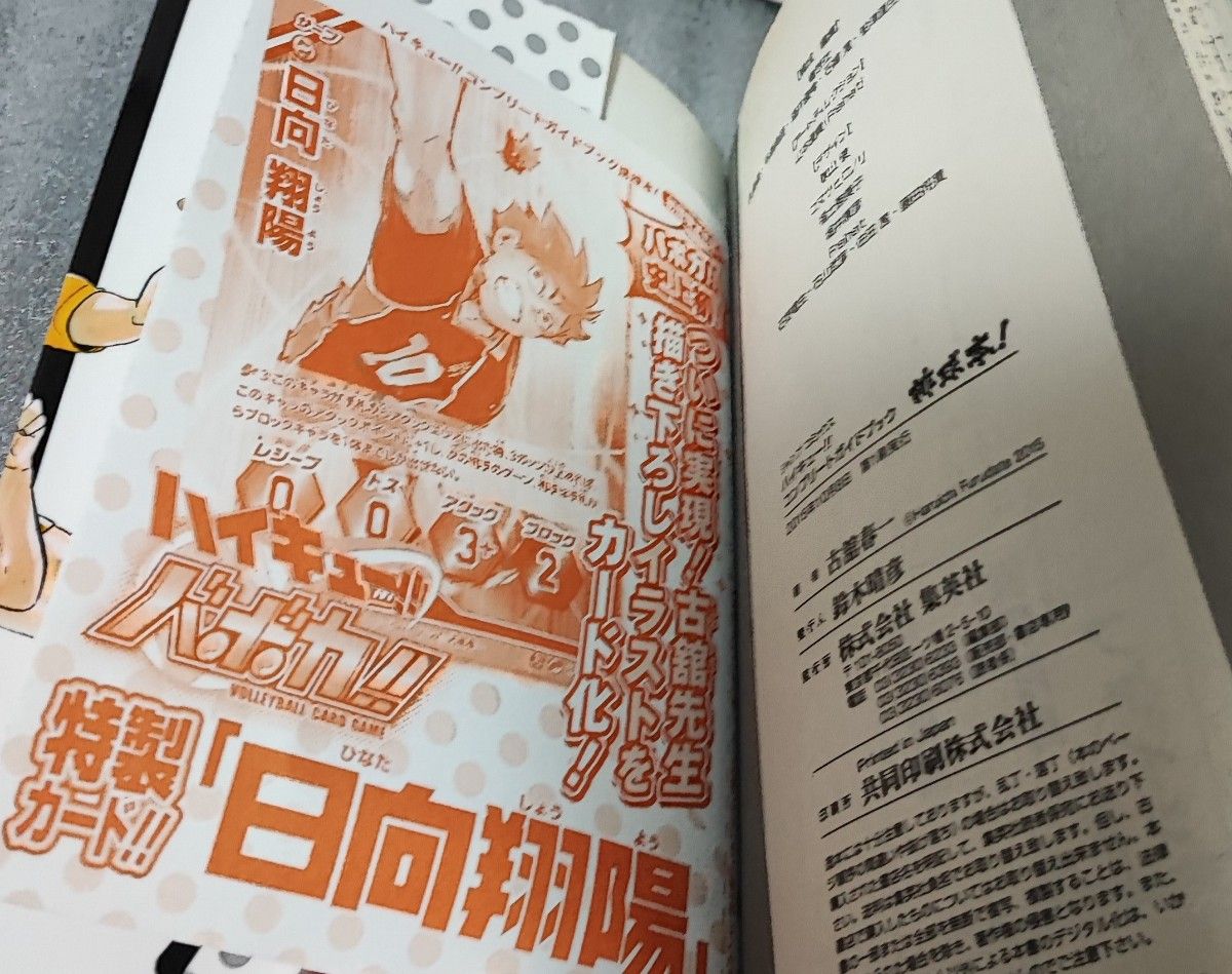 初版特典未開封 ハイキュー コンプリートガイドブック 排球本 初版特典未開封 ハイキュー コンプリートガイドブック 排球本