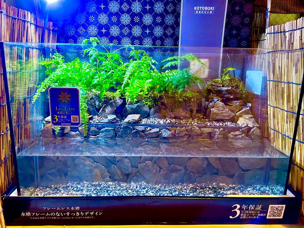 水の流れる滝テラリウム オールガラス60サイズ|Yahoo!フリマ 水の流れる滝テラリウム オールガラス60サイズ|Yahoo!フリマ