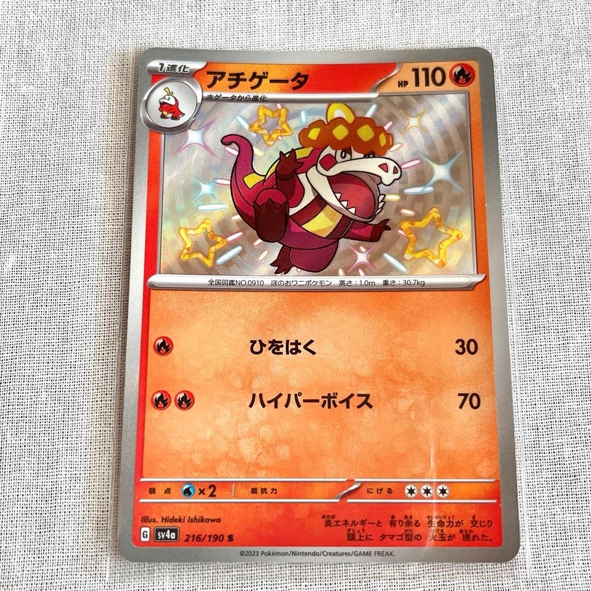 ポケモンカード ホゲータ アチゲータS ラウドボーンex 3枚 ポケモンカード ホゲータ アチゲータS ラウドボーンex 3枚