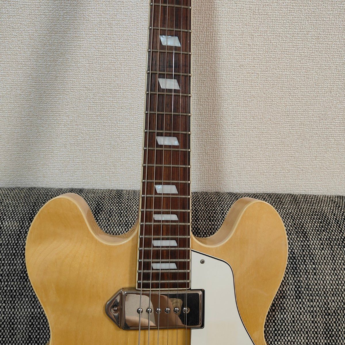 一時値下げ中 epiphone Casino エピフォン カジノ ハードケース 一時値下げ中 epiphone Casino エピフォン カジノ ハードケース