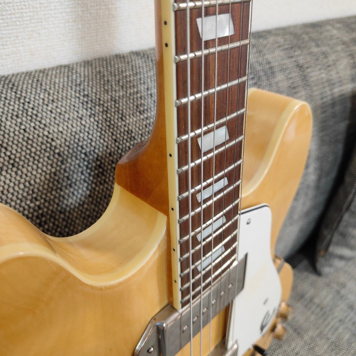一時値下げ中 epiphone Casino エピフォン カジノ ハードケース 一時値下げ中 epiphone Casino エピフォン カジノ ハードケース