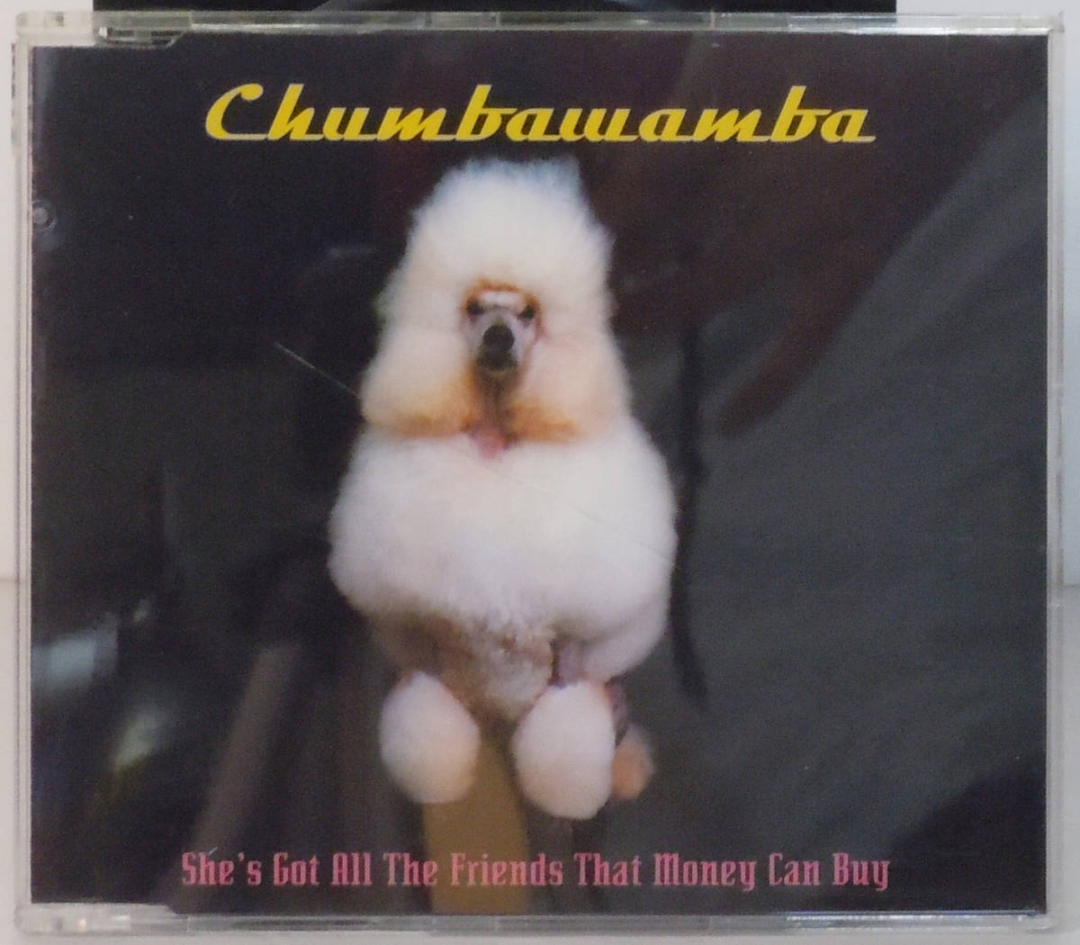 CD ● Chumbawamba / She's Got All the Friends ●7243 8 88206 2 2 チャンバワンバ A862_画像1