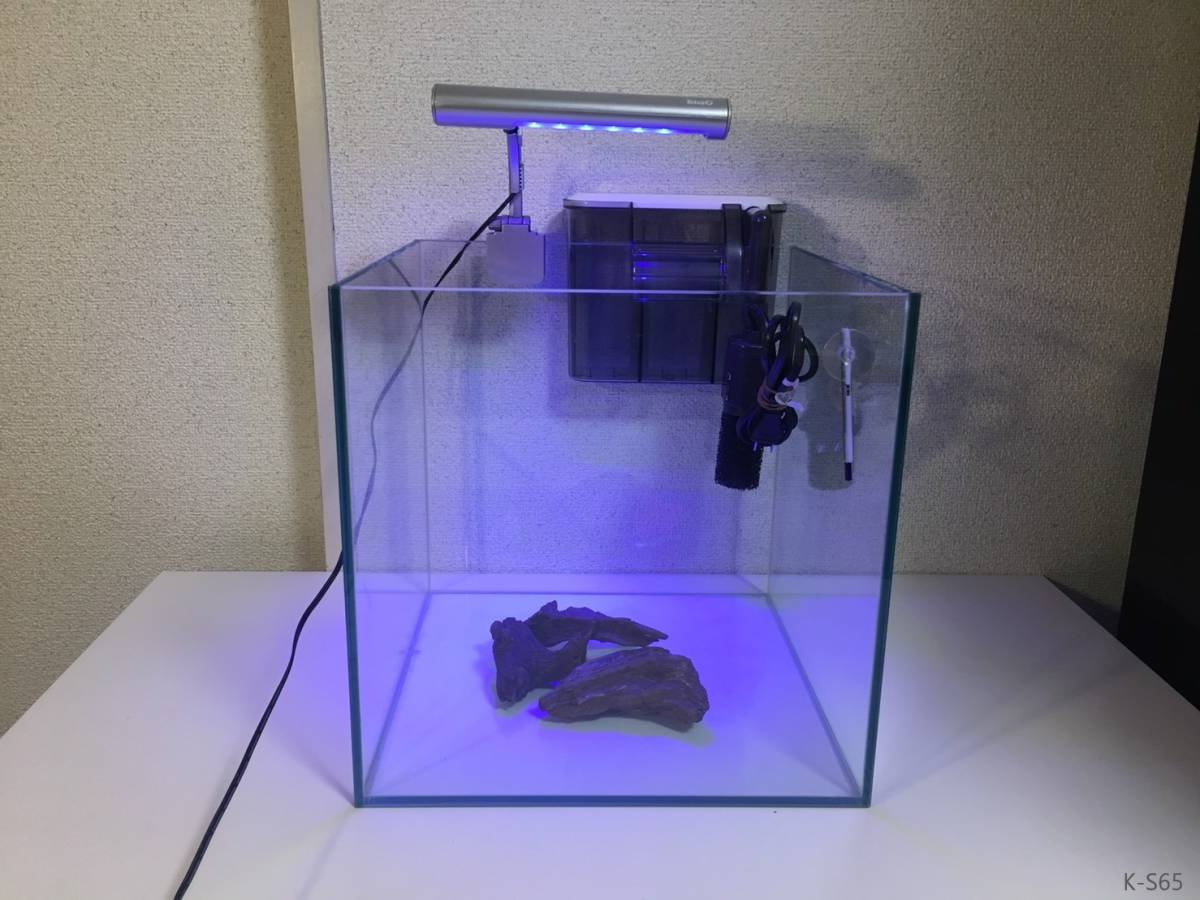 代購代標第一品牌 樂淘letao 引き取り限定 30 水槽立ち上げセット コトブキレグラス30 水槽 Gex水温計 外掛け Led クーラー 流木 K S65 代購代標第一品牌 樂淘letao 引き取り限定 30 水槽立ち上げセット コトブキレグラス30 水槽 Gex水温計 外掛け Led クーラー 流木 K S65