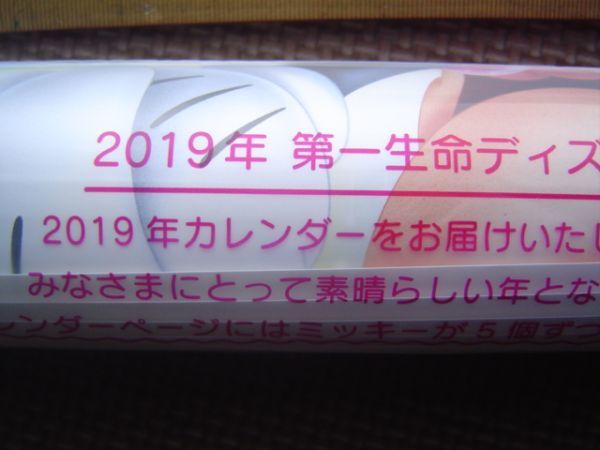 2019年DX大判disneyディズニーカレンダー非売品ミッキーマウスミニードナルドダックプルートグーフィーニモ第一生命販売促進グッズデイジー_画像7