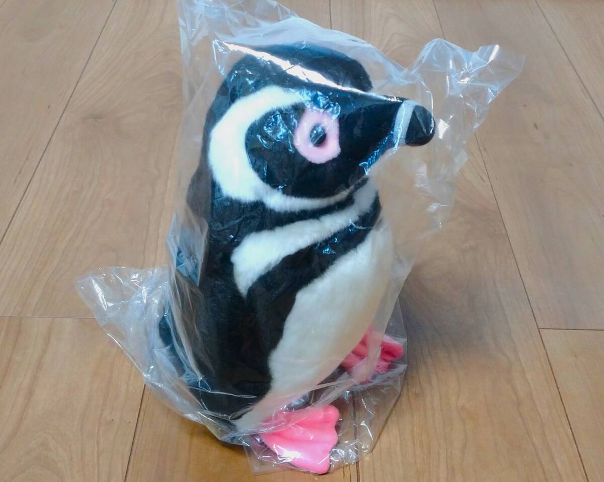 贈る結婚祝い 200円相当 新品合計9 オオサンショウウオ (京都 LL ぬいぐるみ その他
