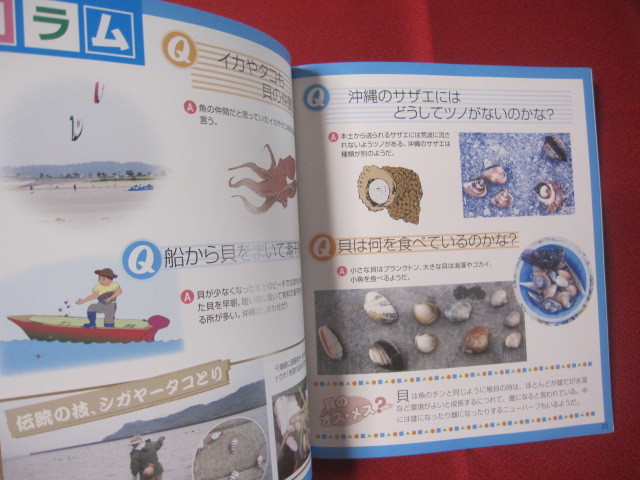 ☆親子で楽しむ　　　沖縄の潮干狩と磯遊び　　　　　【沖縄・琉球・自然・アウトドア・海洋レジャー】_画像9