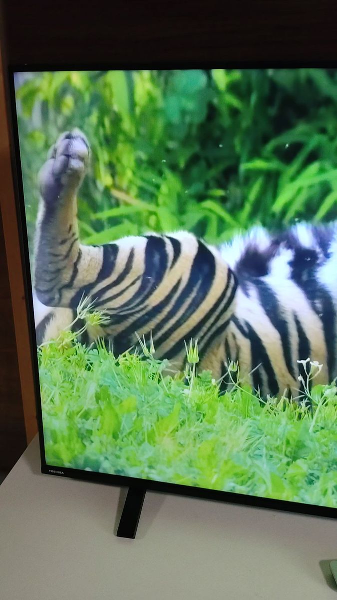 4Kテレビ TOSHIBA REGZA 55インチ 2020年 55C340X|Yahoo!フリマ 4Kテレビ TOSHIBA REGZA 55インチ 2020年 55C340X|Yahoo!フリマ
