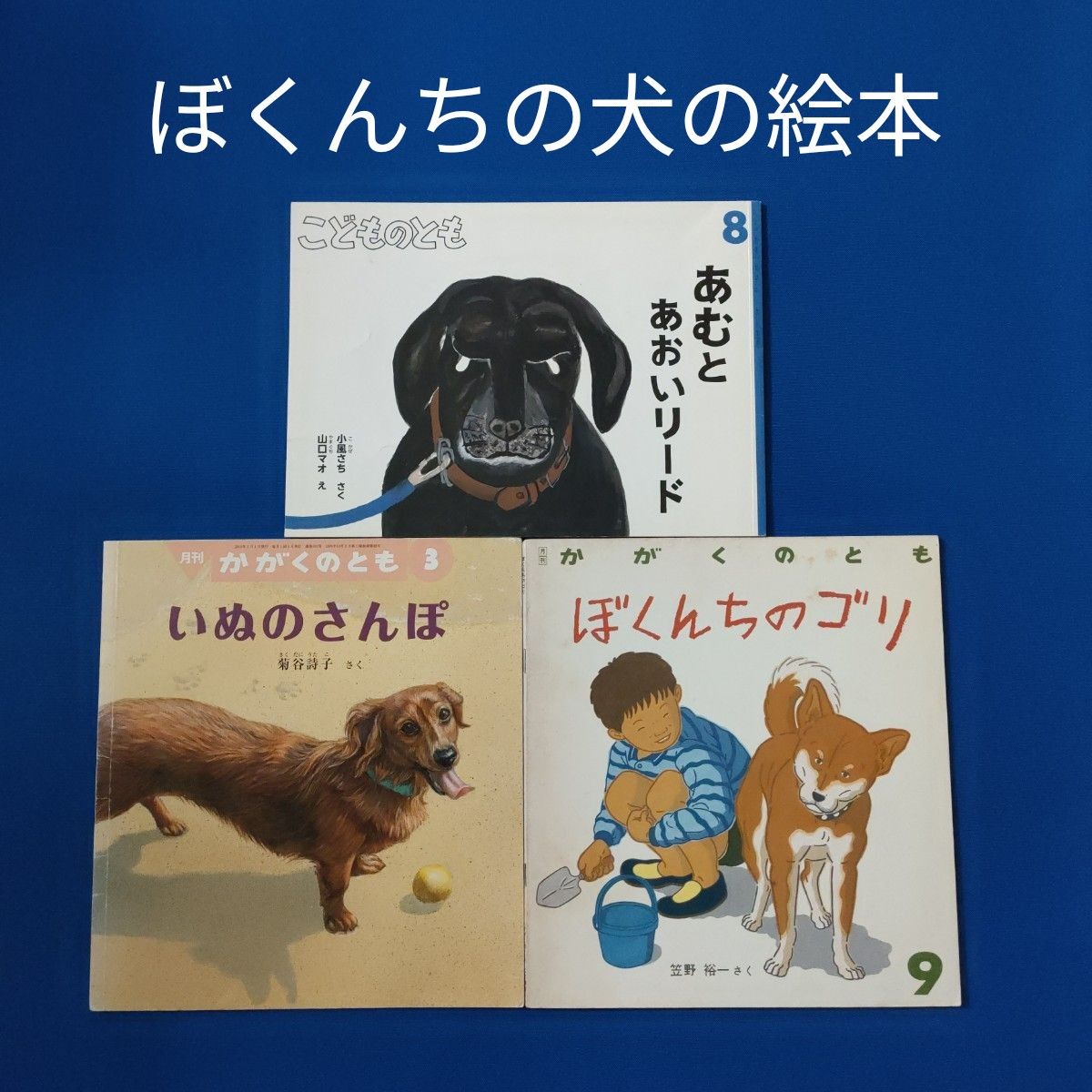 かがくのとも こどものとも ぼくんちの犬の絵本 いぬのさんぽ あむ 福音館