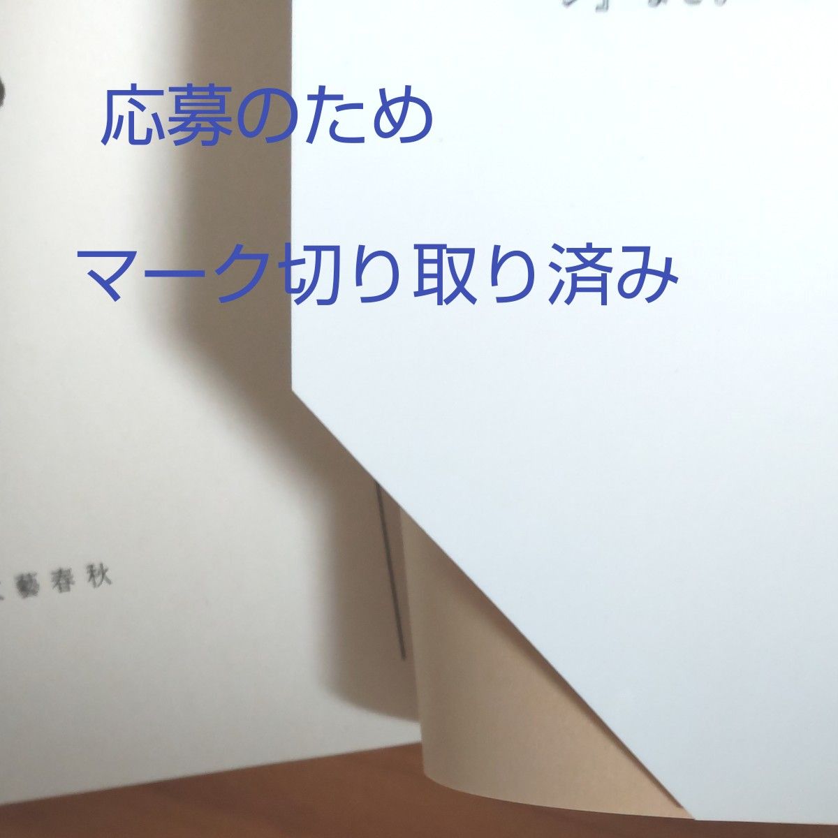 夫 遠藤周作を語る』遠藤順子 全234ページ 遠藤周作年譜付 文庫 夫 遠藤周作を語る』遠藤順子 全234ページ 遠藤周作年譜付 文庫