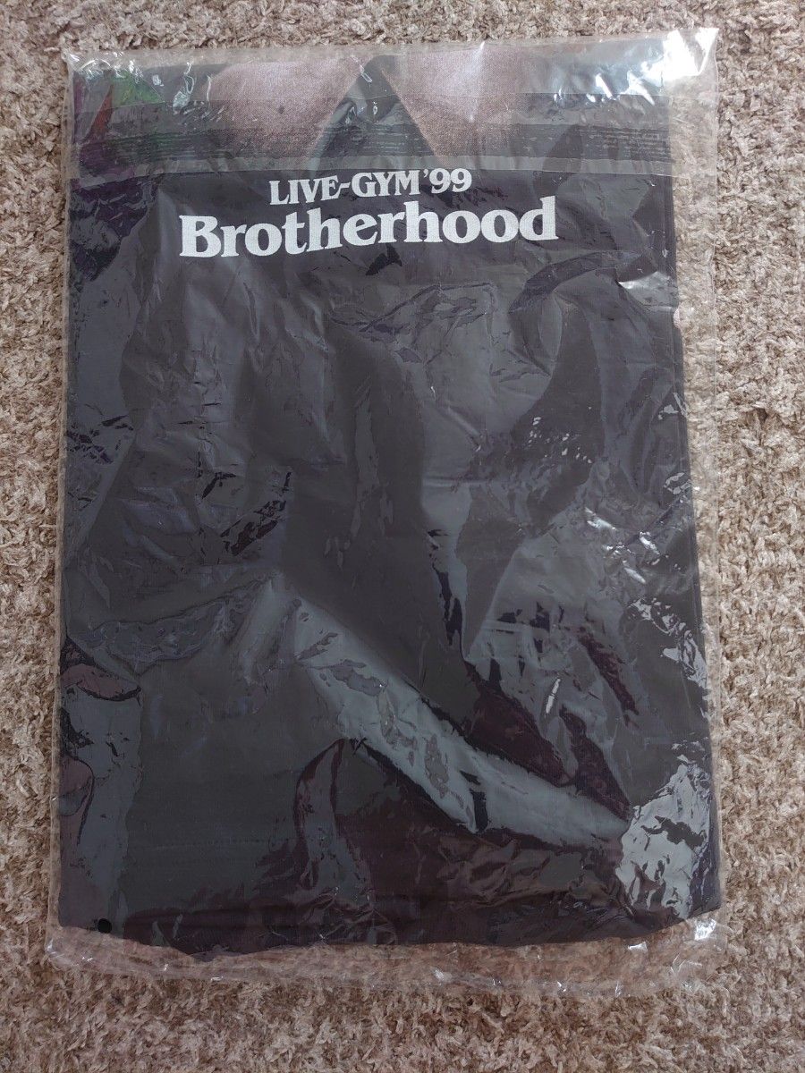 b'z LIVE GYM 1999 brotherhood ツアーTシャツ 稲葉浩志 松本 b'z LIVE GYM 1999 brotherhood ツアーTシャツ 稲葉浩志 松本