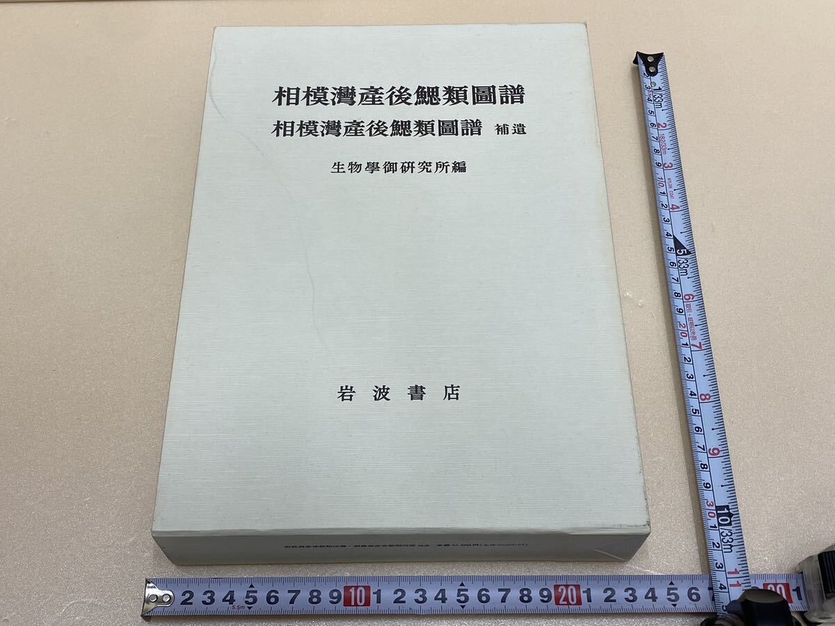 絶版・希少本 相模湾産後鰓類図譜 岩波書店/1990年/生物学/えら 絶版・希少本 相模湾産後鰓類図譜 岩波書店/1990年/生物学/えら