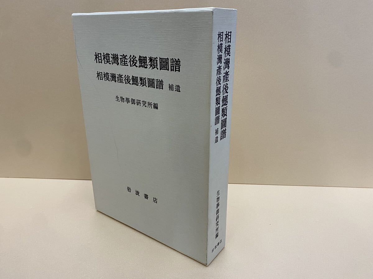5440円 絶版・希少本 相模湾産後鰓類図譜 岩波書店/1990年/生物 5440円 絶版・希少本 相模湾産後鰓類図譜 岩波書店/1990年/生物
