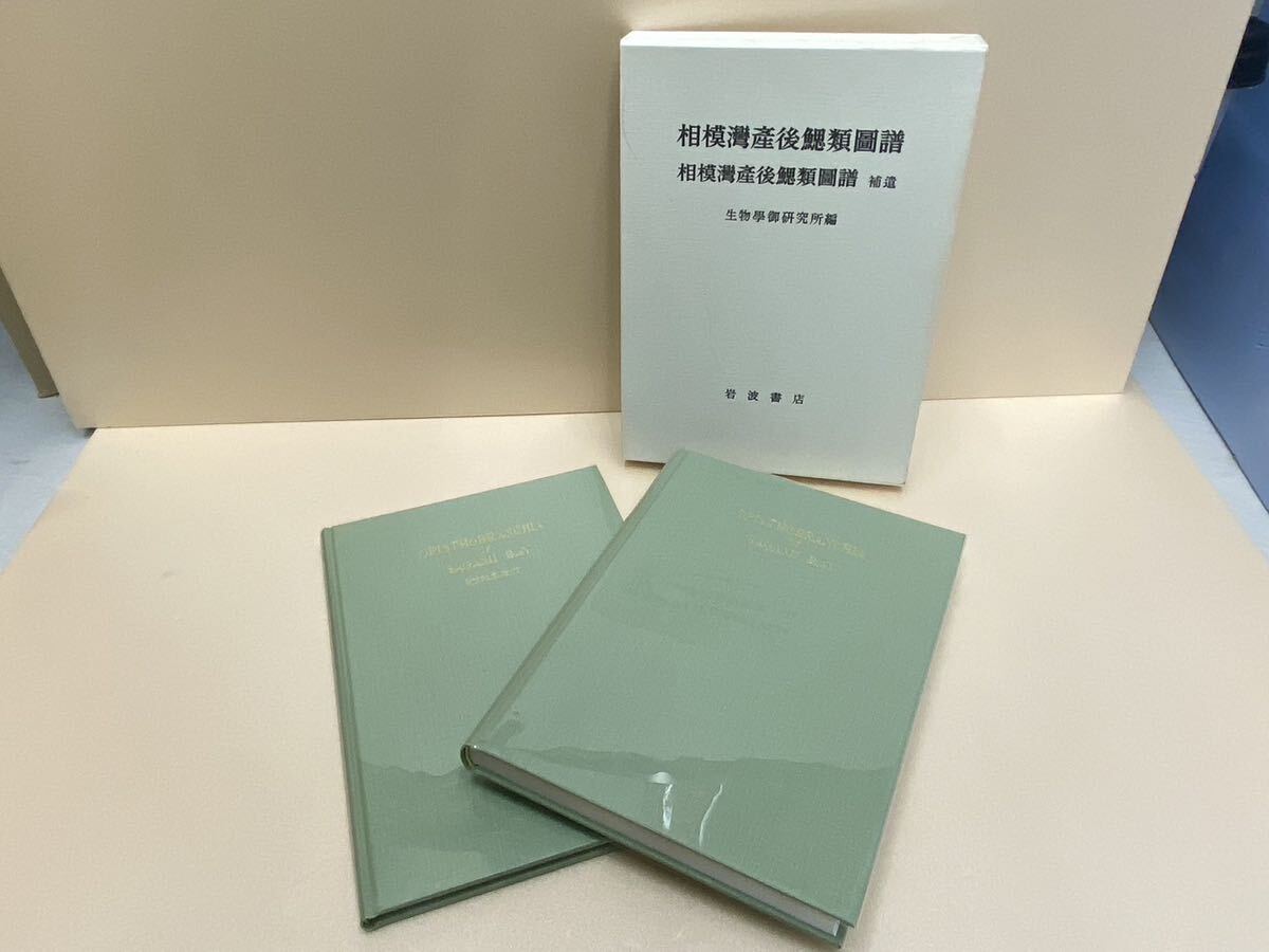 新作グッ 絶版・希少本 相模湾産後鰓類図譜 岩波書店/1990年 新作グッ 絶版・希少本 相模湾産後鰓類図譜 岩波書店/1990年