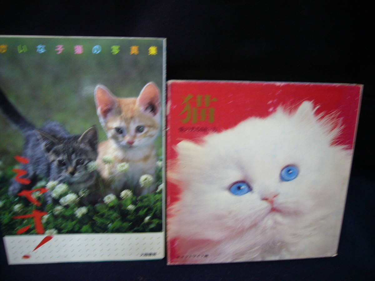 ARS書店『いたずらとっぽのおはなし』『みけねこミーコのひみつ』/ミヤオゆかいな子猫の写真集/猫.愛のある飼い方/かわいいねこ ミッキー_画像5