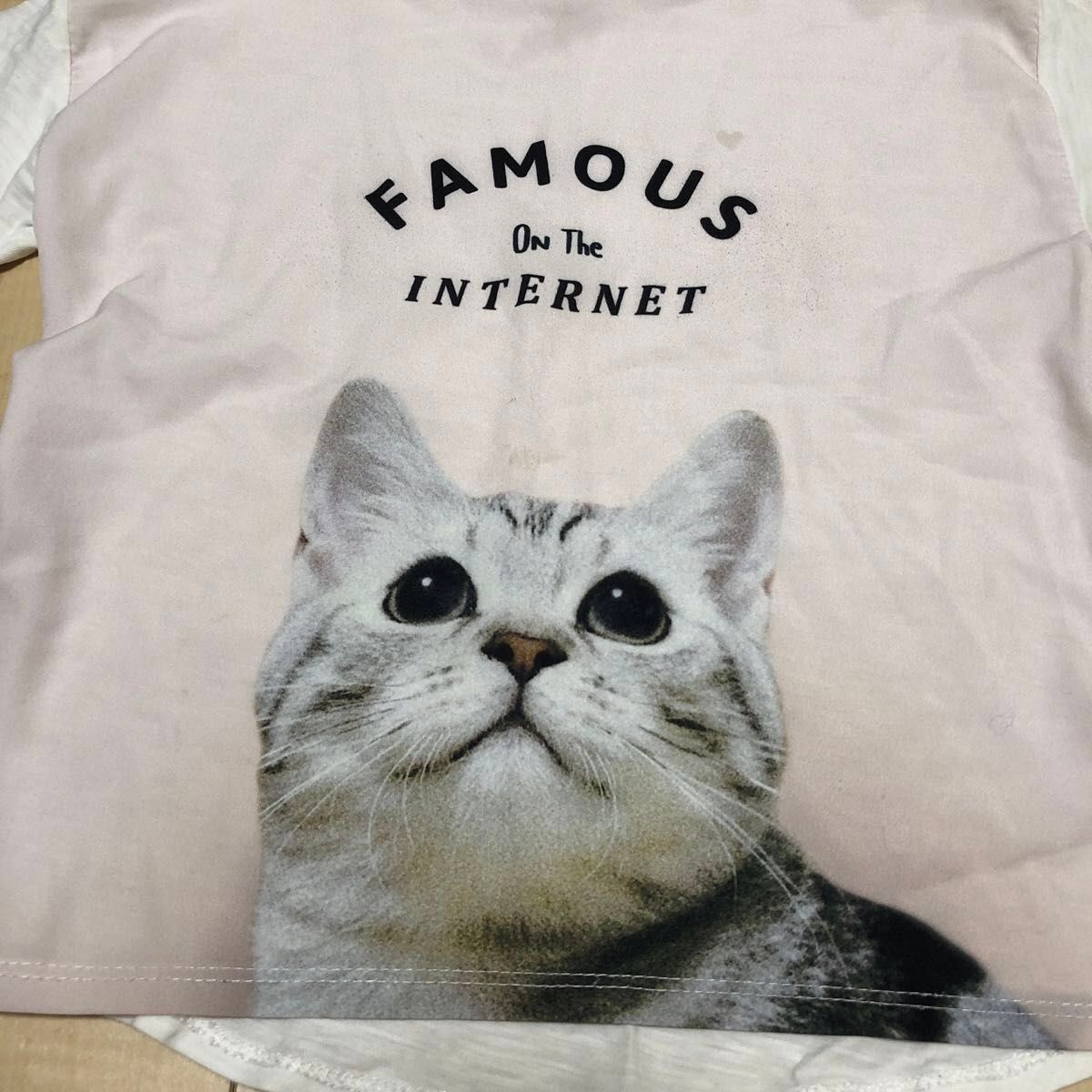 グッチ 5 110 白 猫 ねこ キャット Tシャツ キッズ ZARA ザラ ねこちゃん Tシャツ キャット キッズ 110 カットソー