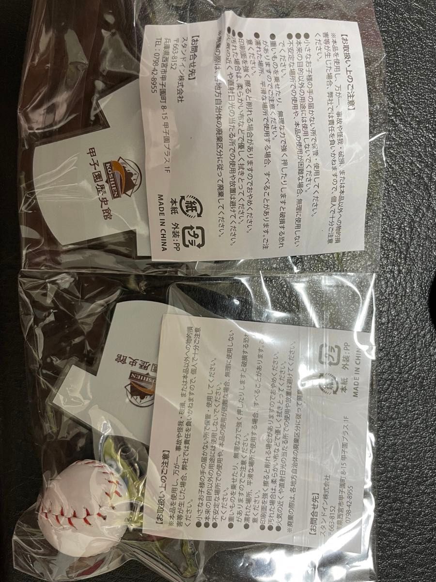 2024年8月30日( 金 )甲子園球場 阪神タイガース対巨人戦 2024年8月30日( 金 )甲子園球場 阪神タイガース対巨人戦
