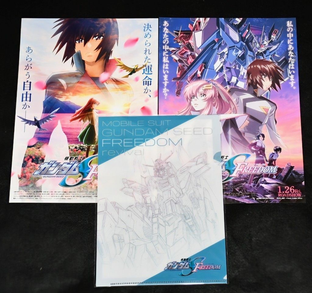 Amazon.co.jp: SEED FREEDOM オリジナルクリアファイル
