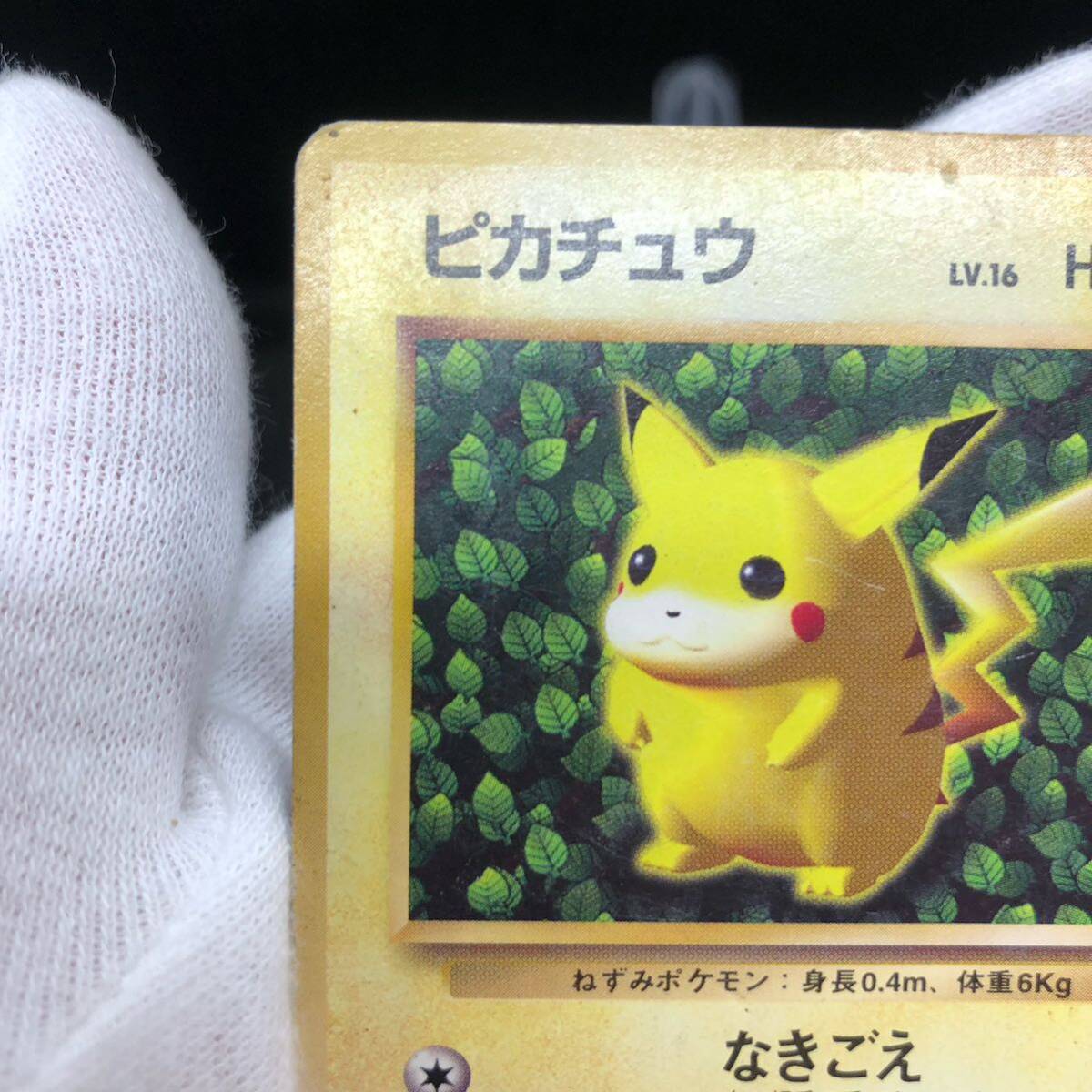 ポケモンカード 旧裏面 旧裏 ピカチュウ すぐわかるポケモン ポケモンカード 旧裏面 旧裏 ピカチュウ すぐわかるポケモン