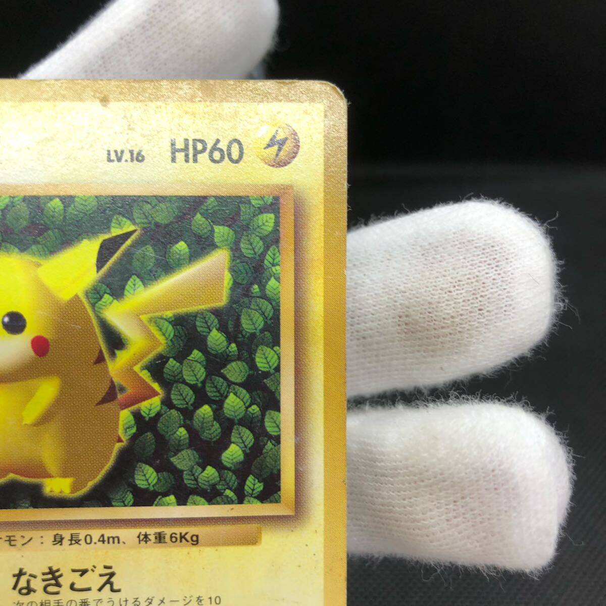 ポケモンカード 旧裏面 旧裏 ピカチュウ すぐわかるポケモン ポケモンカード 旧裏面 旧裏 ピカチュウ すぐわかるポケモン