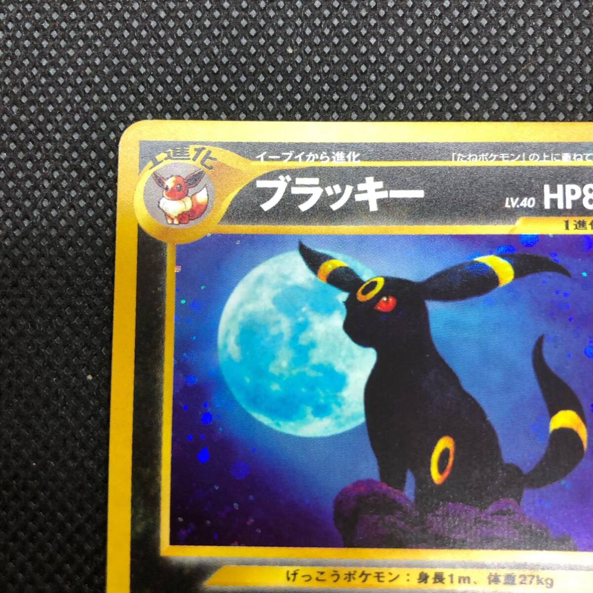 ポケモンカード 旧裏面 旧裏 ブラッキー キラ|Yahoo!フリマ(旧 ポケモンカード 旧裏面 旧裏 ブラッキー キラ|Yahoo!フリマ(旧