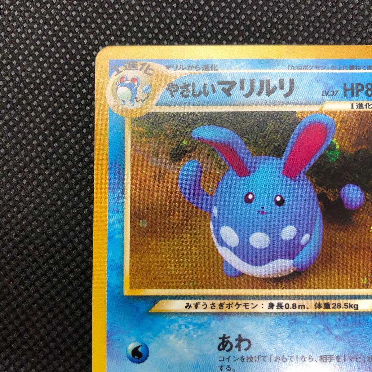 ポケモンカード 旧裏面 旧裏 やさしいマリルリ キラ|Yahoo ポケモンカード 旧裏面 旧裏 やさしいマリルリ キラ|Yahoo