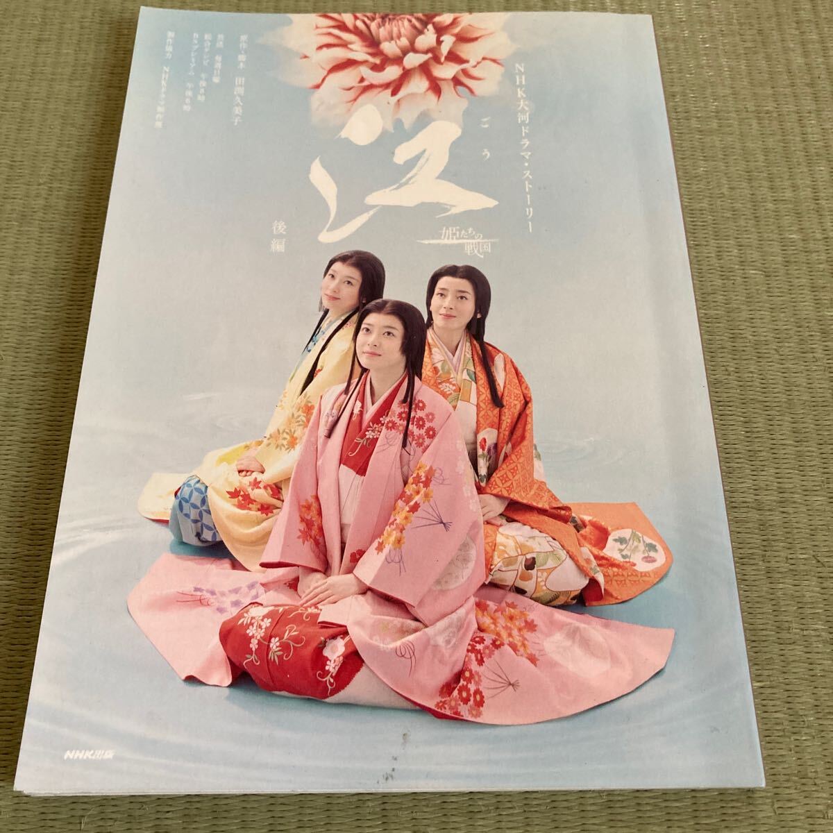 江　姫たちの戦國(guó)　后編　NHK大河ドラマストーリー　上野樹(shù)里　宮沢りえ　水川あさみ　向井理　他