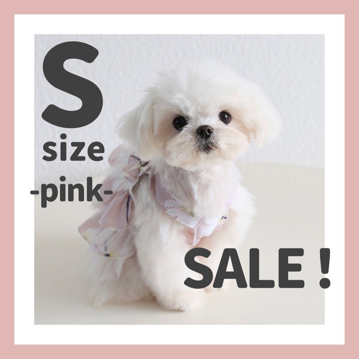 セール　SALE 犬服　犬の服　ドッグウェア　ワンピース　可愛い　フリル　おしゃれ　S ピンク　小型犬　春　夏　ストライプ