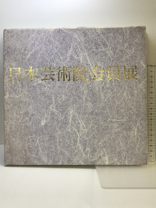日本芸術院会員展 日本経済新聞社 １９９３年