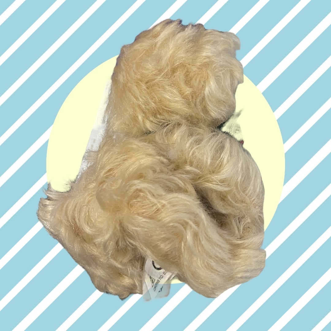 【保管品】マイクロチーキー パール Pearl 世界限定 500体 6インチ テディベア メリーソート A71630R3F_画像5