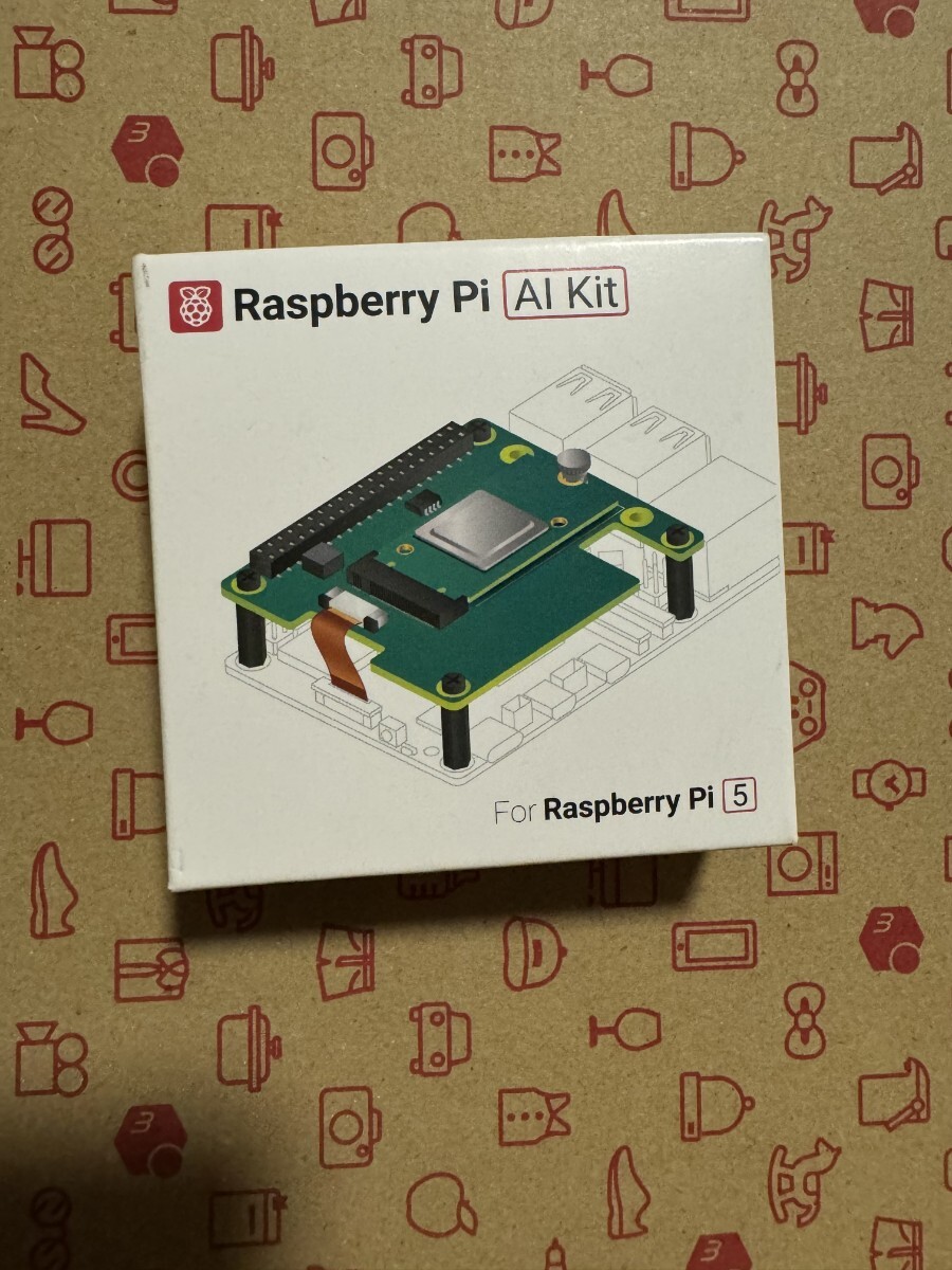 新品　未使用　Raspberry Pi AI Kit-13 TOPS AIキット　ラズパイ　【660】