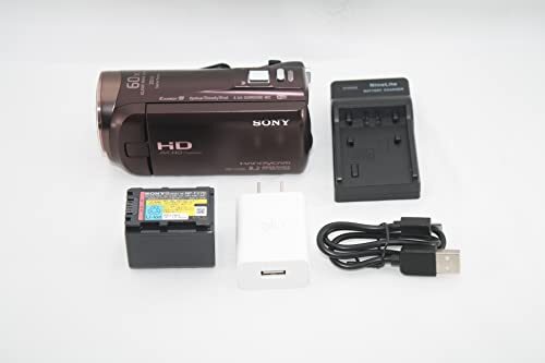 SONY HD video camera Handycam HDR-CX480 bordeaux Brown optics 30 times HDR-C( secondhand goods )