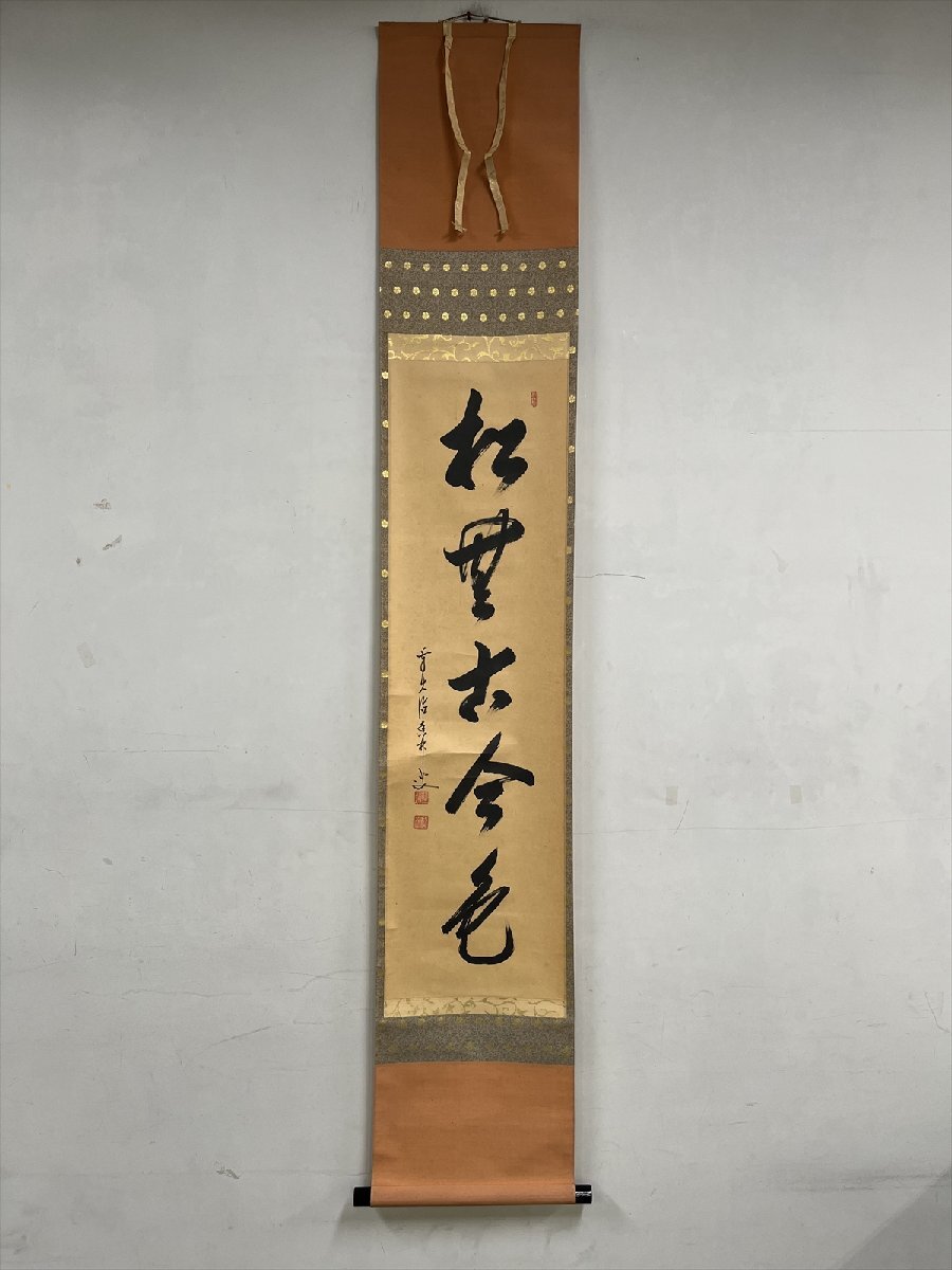 千寿】大徳寺派 興臨院 大橋香林 松寿千年翠 一行書 紙本 d892