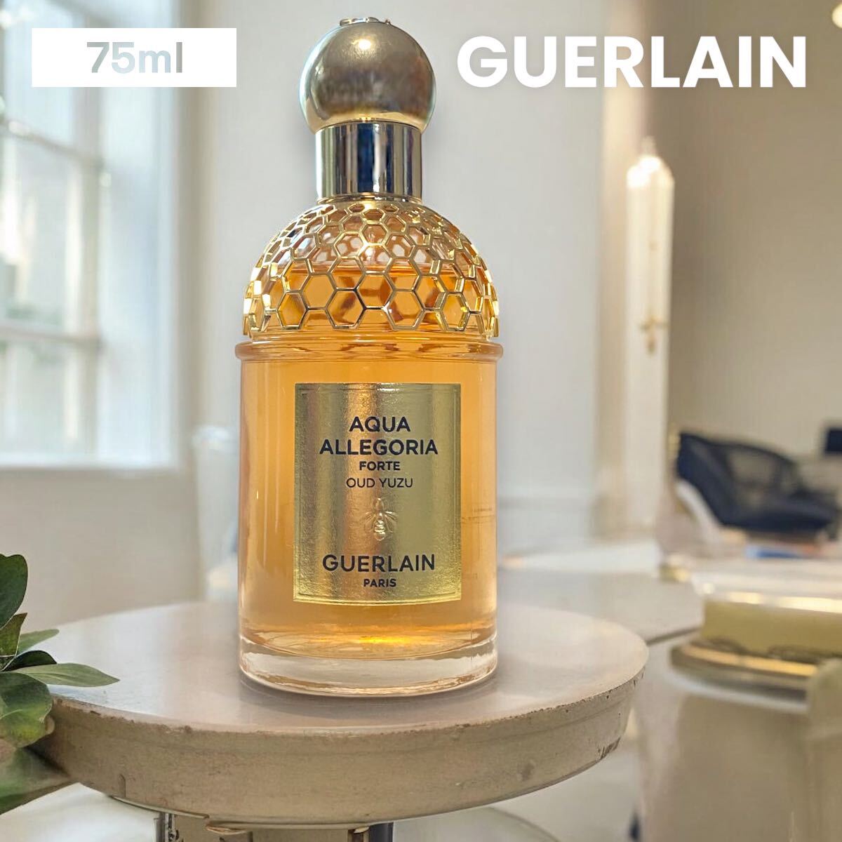 アクア アレゴリア フォルテ ウード ユズ オーデパルファン 75ml アクア アレゴリア フォルテ ウード ユズ オーデパルファン 75ml