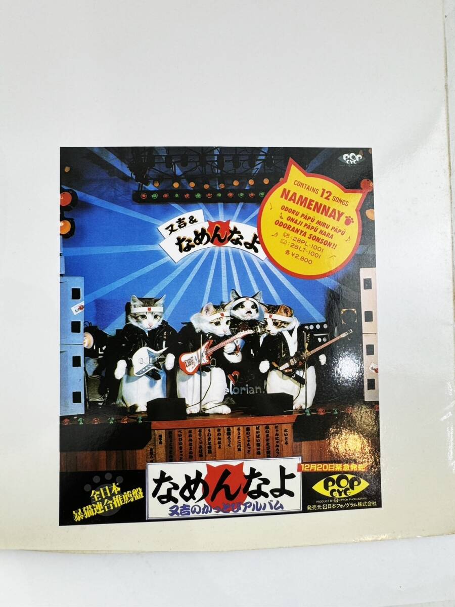 なめ猫 写真集 「なめんなよ 大写真館」昭和57年(1982)初版 なめ猫 写真集 「なめんなよ 大写真館」昭和57年(1982)初版