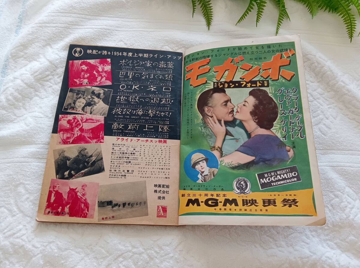 映畫世界社 映畫の友 昭和29年 1954年4月號 表紙 エリザベス?テイラー マリリン?モンロウ來朝