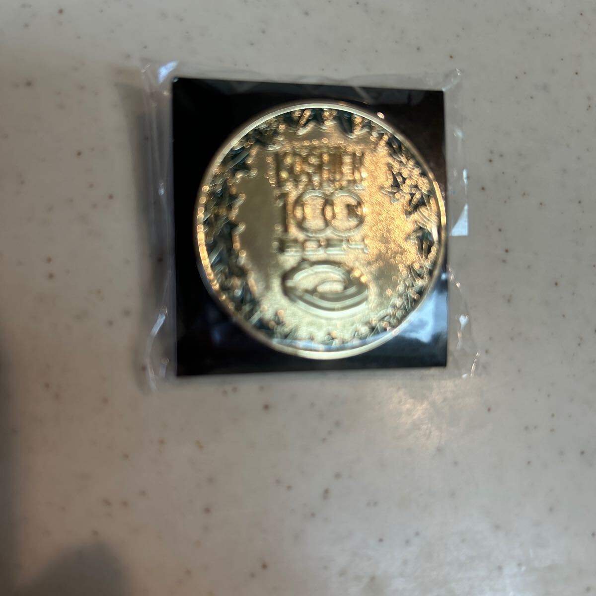 新品未使用/阪神甲子園球場100周年記念ピンバッジ　_画像1