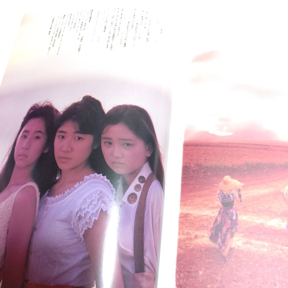 ribbon リボン 直筆サイン色紙 永作博美 松野有里巳 佐藤愛子 乙女塾 Yahoo!オークション - ribbon写真集 永作博美 松野有里巳 佐藤