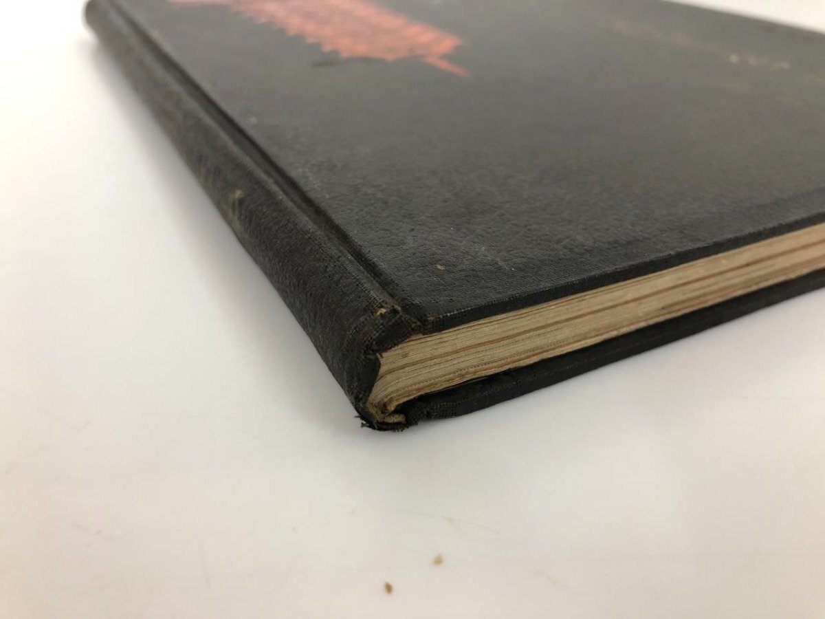古書 皇威輝く 中支之展望 上海 南京 蘇州 杭州 昭和13年 戦前 古書 皇威輝く 中支之展望 上海 南京 蘇州 杭州 昭和13年 戦前