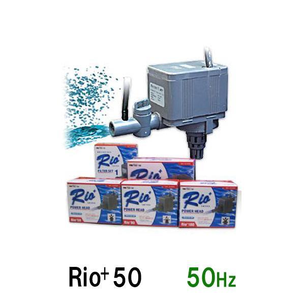 ▽カミハタ リオプラスパワーヘッド Rio+50 50Hz 2点目より600円引