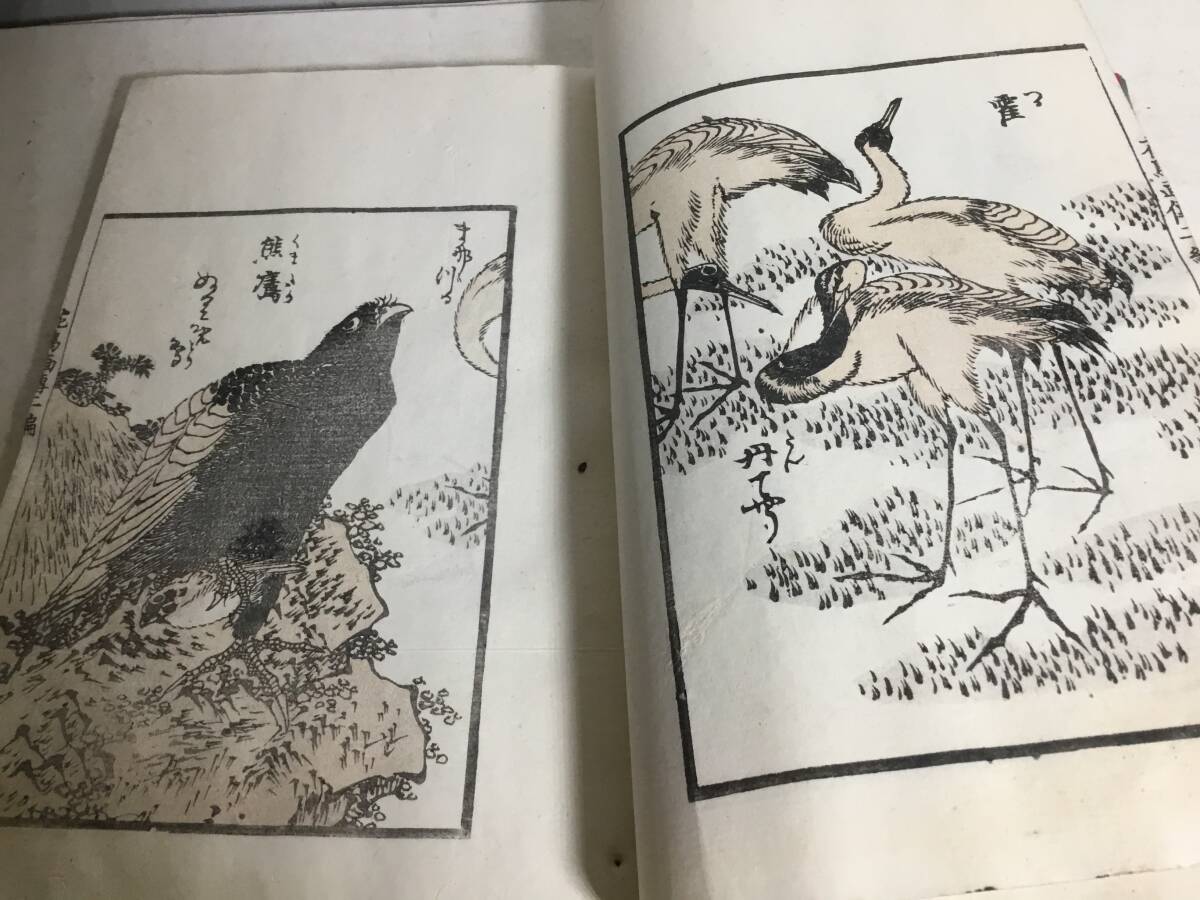 和本『北斎花鳥畫傳』(1編2編) 画/葛飾北斎 明治24年 和本『北斎花鳥畫傳』(1編2編) 画/葛飾北斎 明治24年
