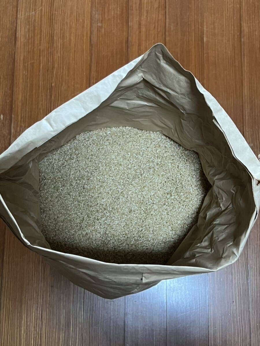 令和4年山形県産ひとめぼれ30kg - 玄米 令和4年山形県産ひとめぼれ30kg - 玄米