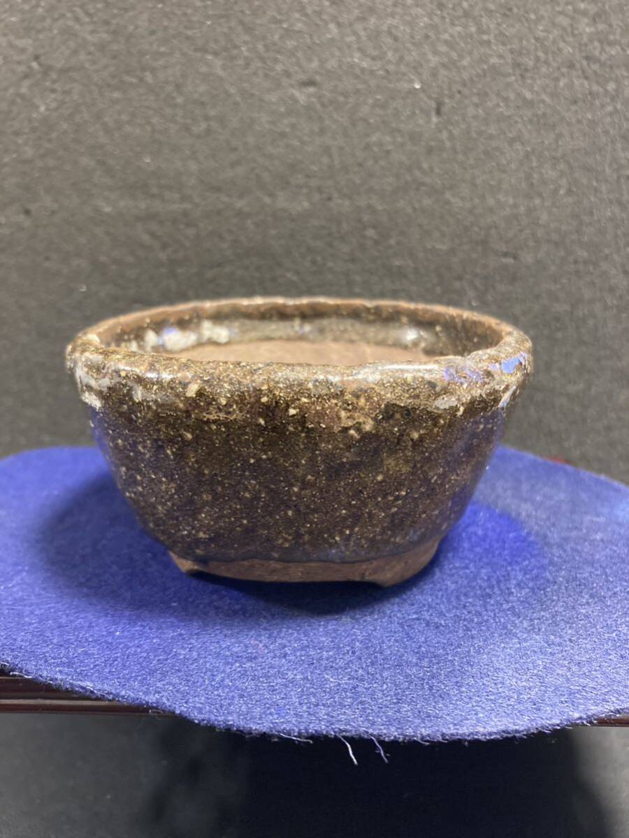 刻印　東福寺　小品盆栽鉢　管理番号BT0659