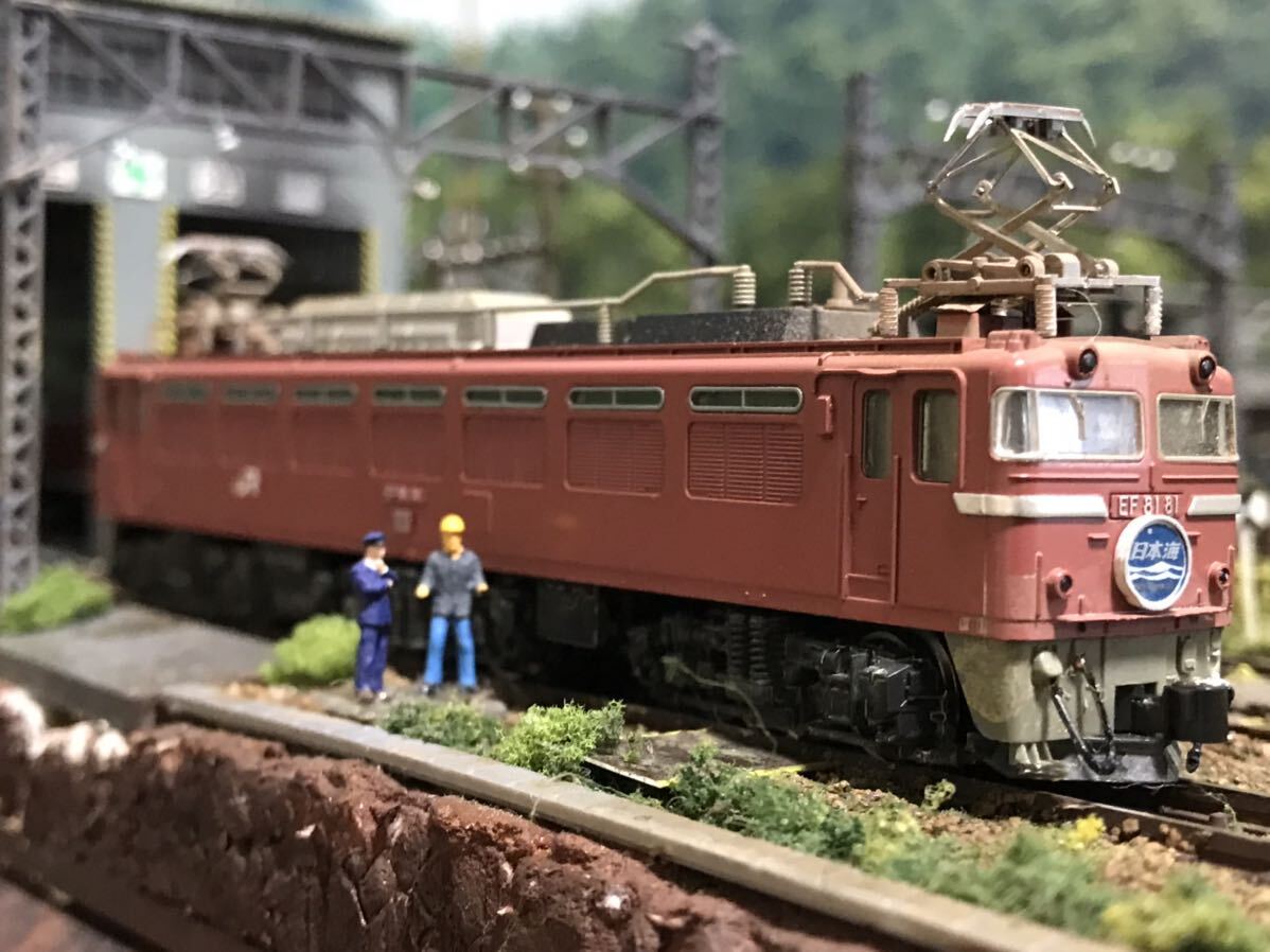 KATO EF81敦賀 特急 日本海 牽引機 ウェザリング 精密加工(電気 KATO EF81敦賀 特急 日本海 牽引機 ウェザリング 精密加工(電気