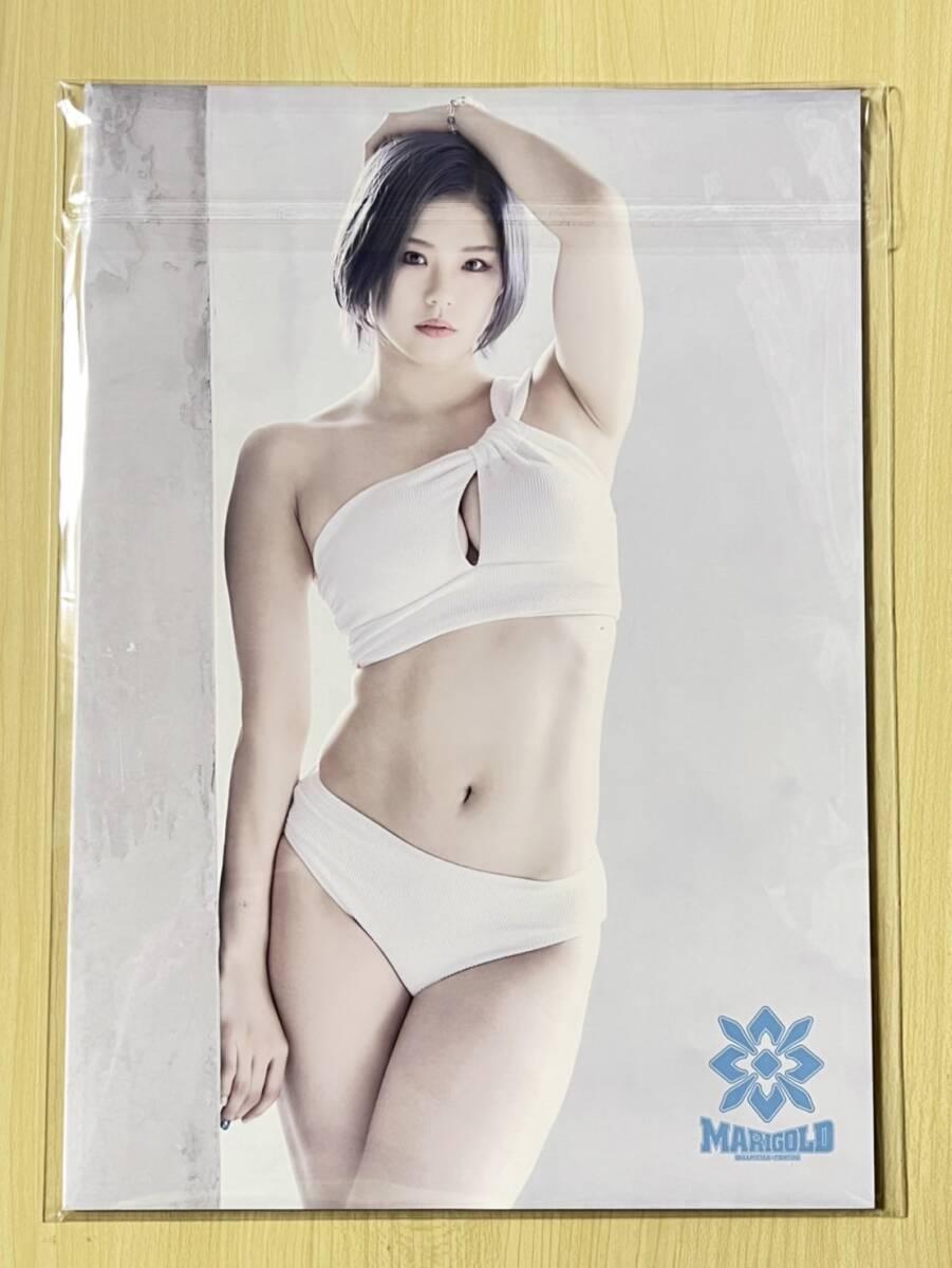 大人の上質 水着 プロレス マリーゴールド ビキニ STYLE BIKINI 写真集 格闘技、プロレス