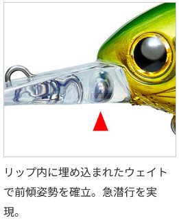アクアウェーブ MIYABIS (ミヤビス) 45DR フローティング/#A135 ブラッディーレッド　ロックフィッシュ チヌ ソルトルアー