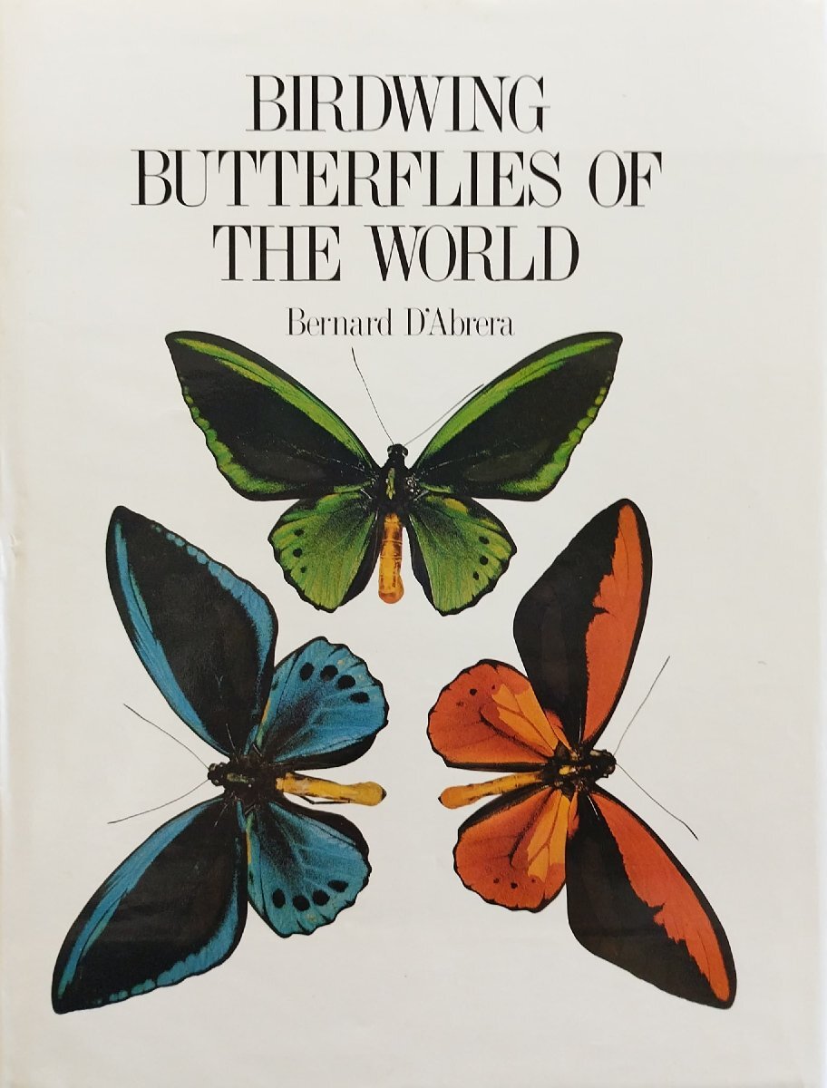 2024年激安 洋書『Birdwing Butterflies 世界のトリバネチョウ World the of 生物学